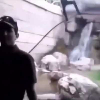 Monkey