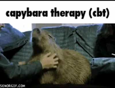 therapy