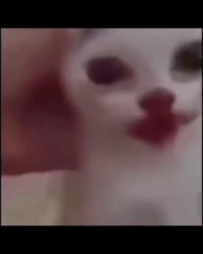 Que ami me gusta pa pepsi