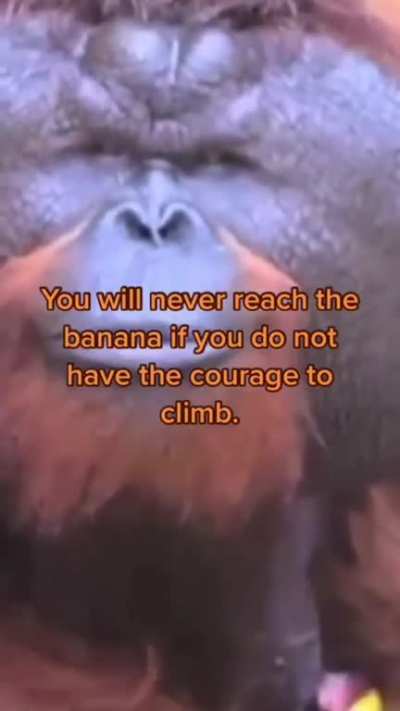 Always have courage and you will get banana :)