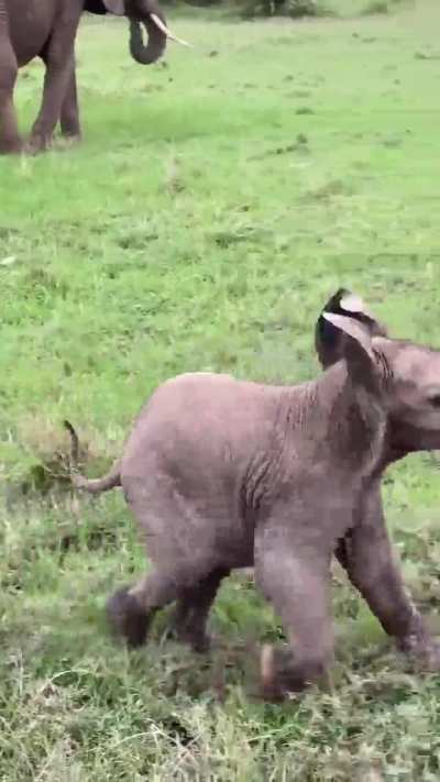 this adorable baby