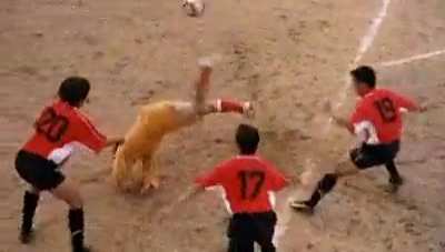 goofy ass soccer