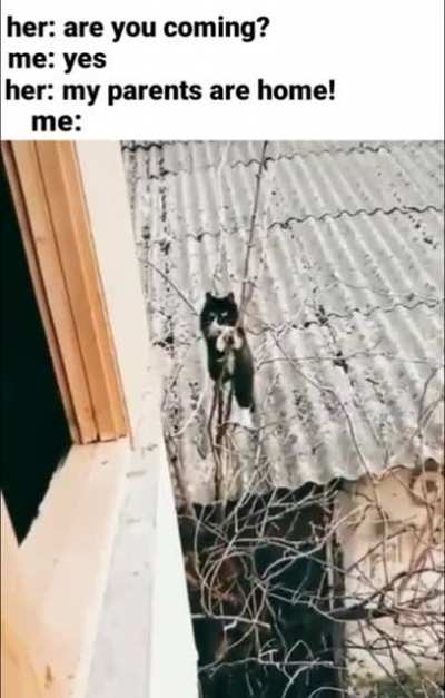 improvise, adapt overcum