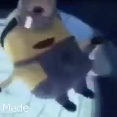 shitposting - Video #7710
