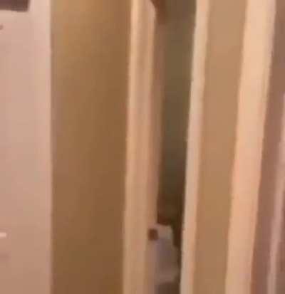 What are you doing brother