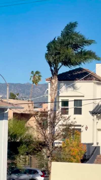 Those Santa Ana&rsquo;s really blowing&rsquo;