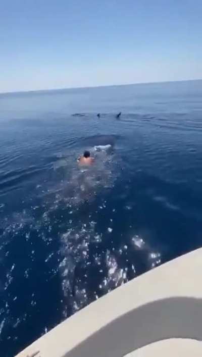 Riding a whale in Yanbu !!