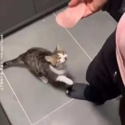 When your crush refuses you