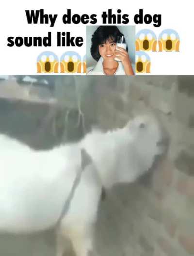 Milk album