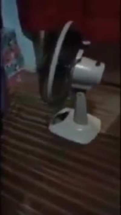 my fan is laughing