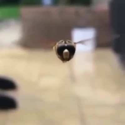 High-five!