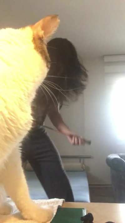 I am having a breakdown with my cat 🐈