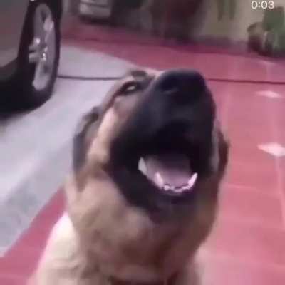 Wtf