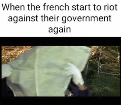 Its all coming together