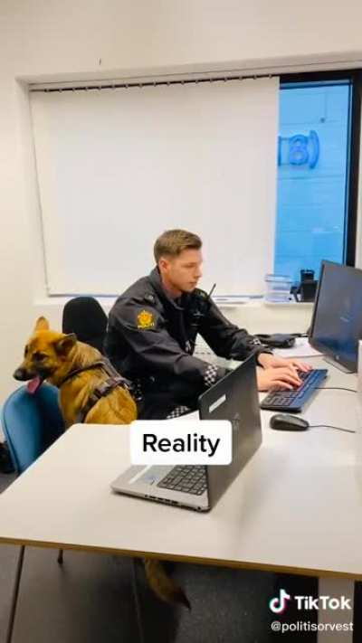 Expectations vs reality