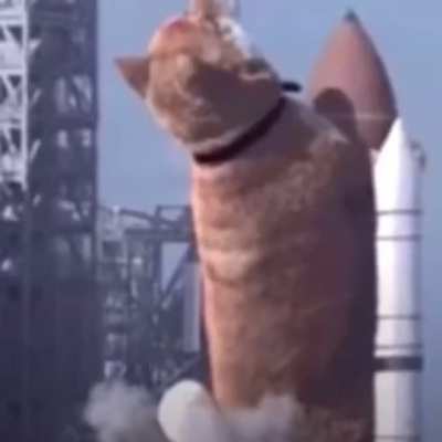 To the moon !!