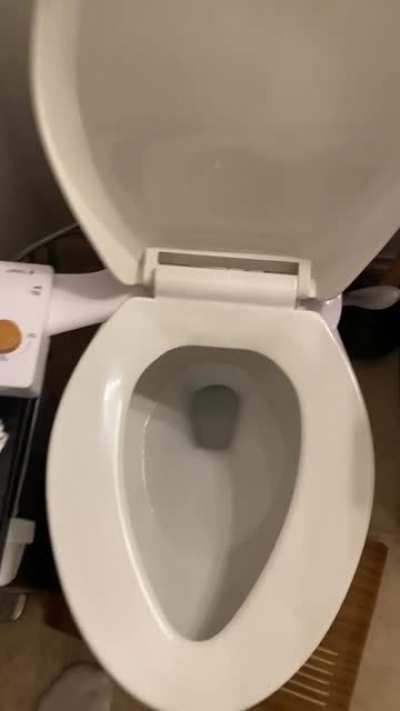 Got a new bidet y&rsquo;all! (OC)