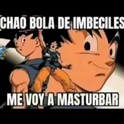 Chaoo