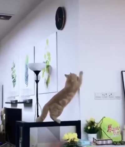 Going for the clock