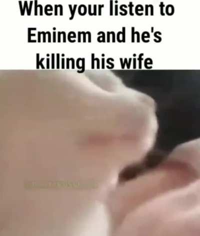 B L L E. EEE E E D