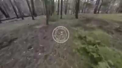 Russian POV of a fighting retreat through the woods near Kremmenaya