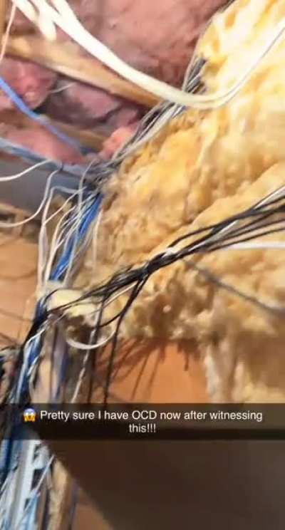 Got asked to fix this closet&hellip;
