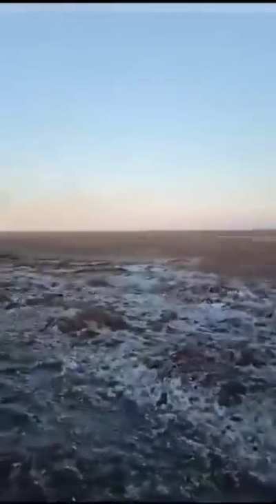 Russian BMP shoots at treeline, then gets obliterated. 