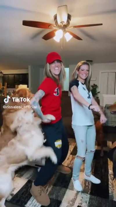 Teaching your dog to line dance with you = cute. Teaching your intact male dog to twerk with you = ewww