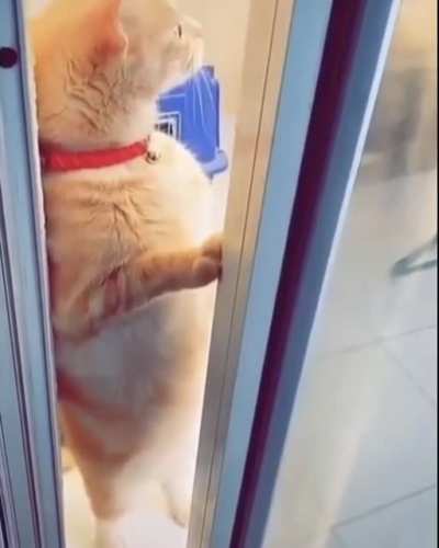 neighbours fighting