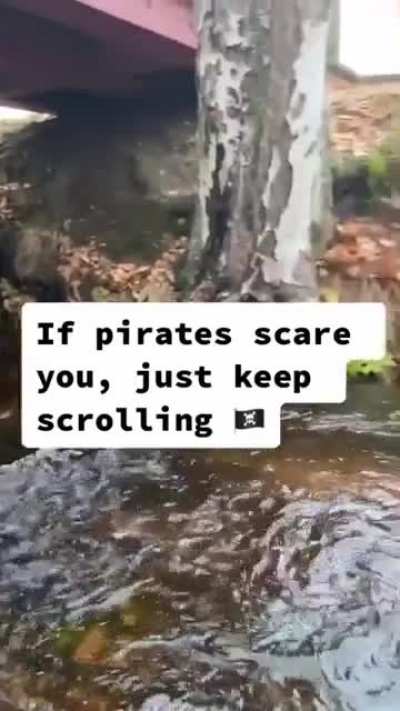 ahoy there