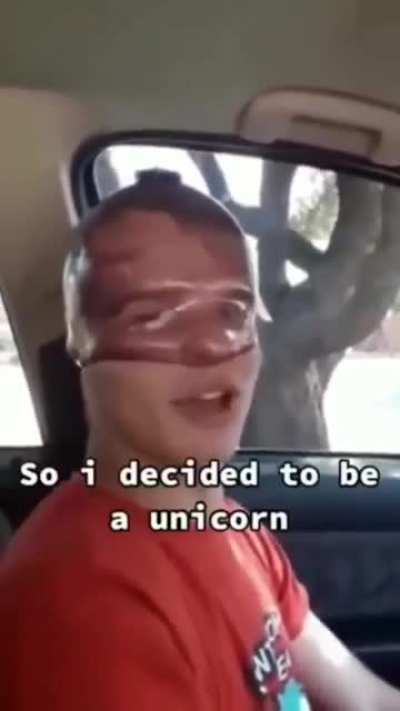 Unicorn