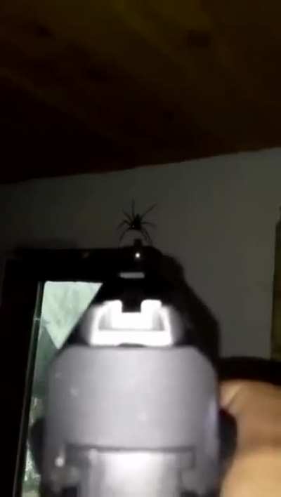Blursed_Bro chose violence
