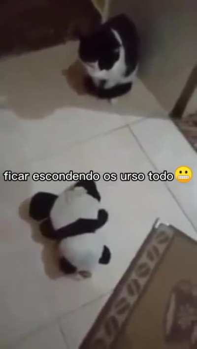 deixa o Felipe
