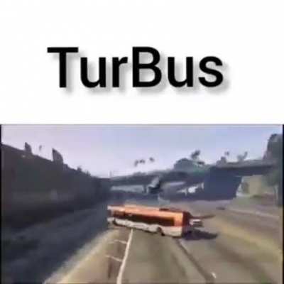Buses de Valpara&iacute;so ser como: