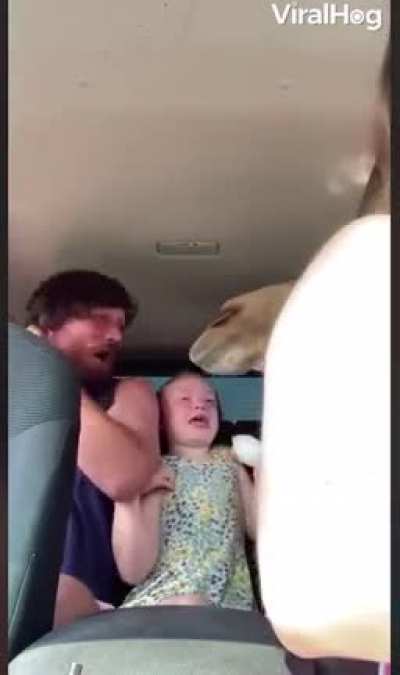 Drive-thru safari would be fun they said