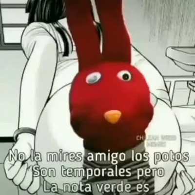Grande bodoque 
