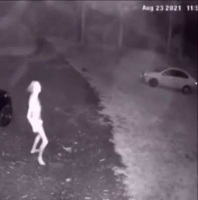 Skinwalker plug walk