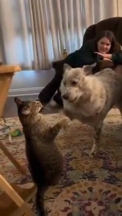 &ldquo;This is Spartahhhhhhh!!!&rdquo;