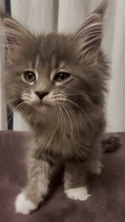 She just woke up, I think she wants some lovin&rsquo;