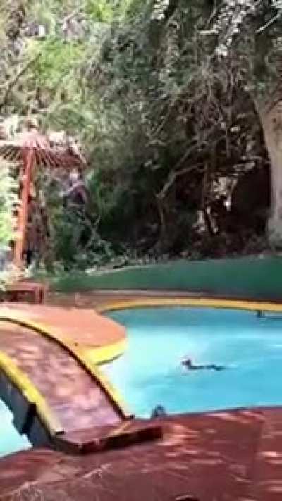 Churras dos suba aí .😢🦍💀
