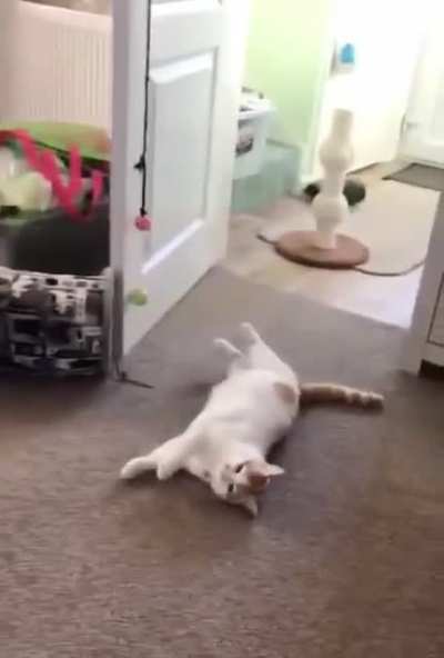 Oscar for the most dramatic performance goes to