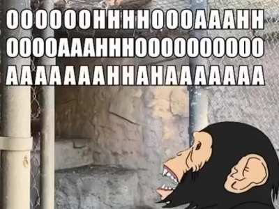 UNGA UNGA
