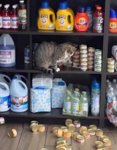 This asshole snuck into the store and started dumping canned goods.