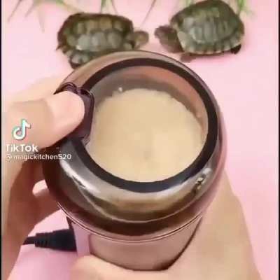 Turt