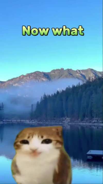 Where to post ?