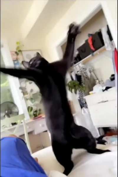 wololololo!