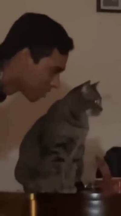 Damn you human!