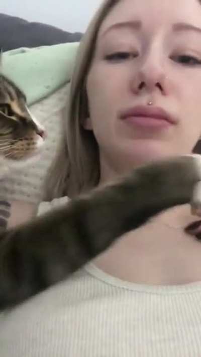 Terbiyesiz kedi kız bacımızı tenhada sıkıştırmış, işini g&ouml;rmeye &ccedil;alışıyor. Senin anan baban yok mu terbiyesiz herif!