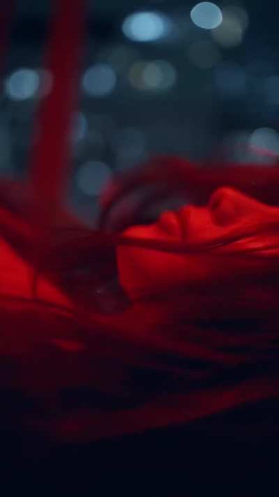 Pau Palacio