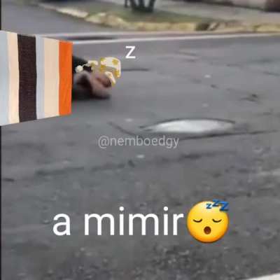 A mimir